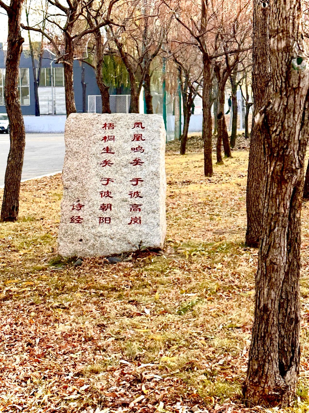 校园风光