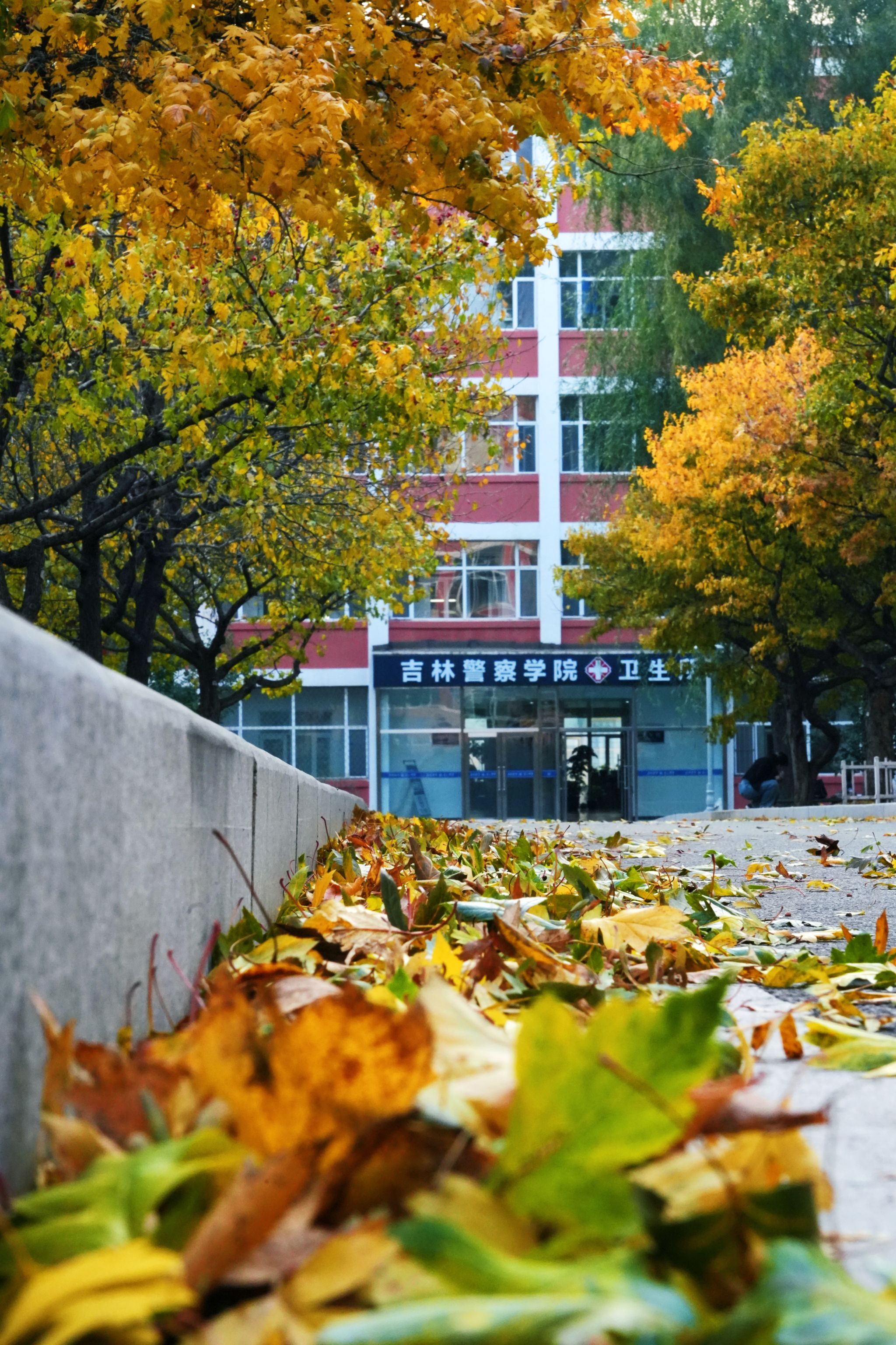 校园风光